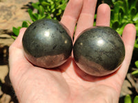 Polished Pharaoh Stone Spheres x 3 From Zimbabwe