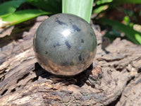 Polished Pharaoh Stone Spheres x 3 From Zimbabwe