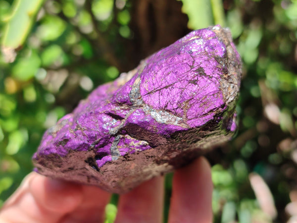 Natural Metallic Purpurite Cobbed Specimens x 6 From Erongo, Namibia