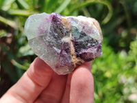 Natural Watermelon Fluorite Cobbed Specimens x 2.6 Kg Lot From Uis, Namibia