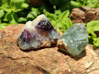 Natural Watermelon Fluorite Cobbed Specimens x 2.6 Kg Lot From Uis, Namibia