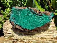 Natural Botryoidal Malachite Specimen x 1 From Tenke Fungurume, Congo