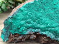 Natural Botryoidal Malachite Specimen x 1 From Tenke Fungurume, Congo