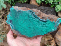 Natural Botryoidal Malachite Specimen x 1 From Tenke Fungurume, Congo