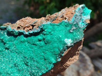 Natural Botryoidal Malachite Specimen x 1 From Tenke Fungurume, Congo