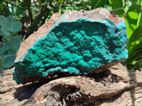 Natural Botryoidal Malachite Specimen x 1 From Tenke Fungurume, Congo