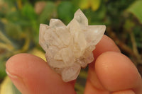 Natural Quartz Crystals x 30 From Brandberg, Namibia