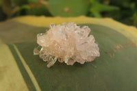 Natural Quartz Crystals x 30 From Brandberg, Namibia