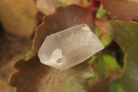 Natural Quartz Crystals x 30 From Brandberg, Namibia