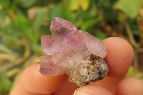 Natural Quartz Crystals x 30 From Brandberg, Namibia