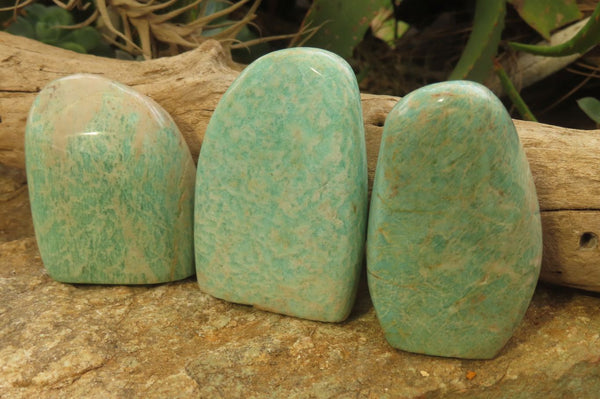 Polished Amazonite Standing Free Forms x 12 From Zimbabwe