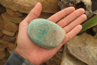 Polished Amazonite Standing Free Forms x 12 From Zimbabwe