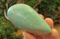 Polished Amazonite Standing Free Forms x 12 From Zimbabwe