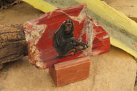 Hand Made Chimpanzee Decoupage on Brecciated Jasper Stone Slabs - Sold Per Item - From South Africa