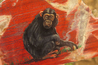 Hand Made Chimpanzee Decoupage on Brecciated Jasper Stone Slabs - Sold Per Item - From South Africa