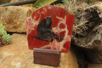 Hand Made Chimpanzee Decoupage on Brecciated Jasper Stone Slabs - Sold Per Item - From South Africa