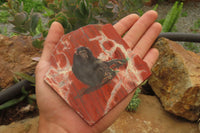 Hand Made Chimpanzee Decoupage on Brecciated Jasper Stone Slabs - Sold Per Item - From South Africa