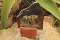 Hand Made Elephant Family Decoupage on Tiger Iron Jasper Stone Slabs - Sold Per Item - From South Africa