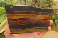 Hand Made Tigers Decoupage on Banded Tiger Iron Jasper Stone Slabs - Sold Per Item - From South Africa