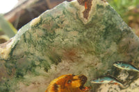 Hand Made Grizzly Bear Fishing Decoupage on Moss Agate Stone Slabs - sold per item - From South Africa