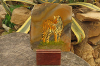 Hand Made Tiger Decoupage on Polychrome Jasper Stone Slabs - sold per item - From Madagascar