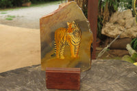 Hand Made Tiger Decoupage on Polychrome Jasper Stone Slabs - sold per item - From Madagascar