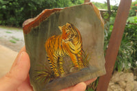 Hand Made Tiger Decoupage on Polychrome Jasper Stone Slabs - sold per item - From Madagascar