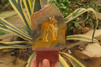 Hand Made Tiger Decoupage on Polychrome Jasper Stone Slabs - sold per item - From Madagascar