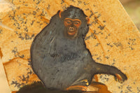 Hand Made Chimpanzee Decoupage on Picture Stone Jasper Stone Slabs - sold per item - From Namibia