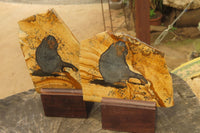 Hand Made Chimpanzee Decoupage on Picture Stone Jasper Stone Slabs - sold per item - From Namibia