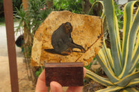 Hand Made Chimpanzee Decoupage on Picture Stone Jasper Stone Slabs - sold per item - From Namibia