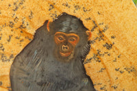 Hand Made Chimpanzee Decoupage on Picture Stone Jasper Stone Slabs - sold per item - From Namibia