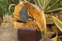 Hand Made Chimpanzee Decoupage on Picture Stone Jasper Stone Slabs - sold per item - From Namibia