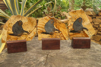 Hand Made Chimpanzee Decoupage on Picture Stone Jasper Stone Slabs - sold per item - From Namibia