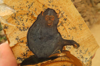 Hand Made Chimpanzee Decoupage on Picture Stone Jasper Stone Slabs - sold per item - From Namibia