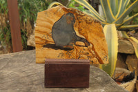 Hand Made Chimpanzee Decoupage on Picture Stone Jasper Stone Slabs - sold per item - From Namibia