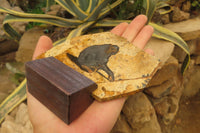 Hand Made Chimpanzee Decoupage on Picture Stone Jasper Stone Slabs - sold per item - From Namibia