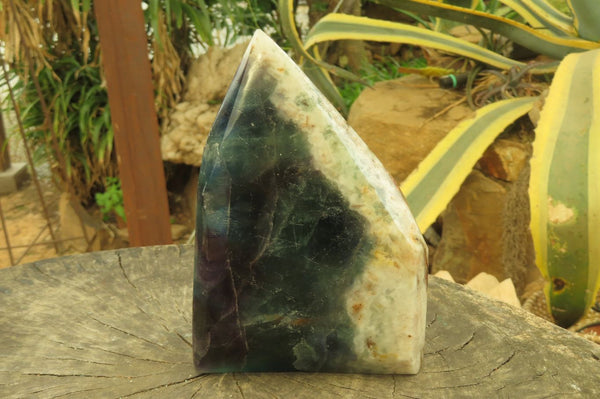 Polished Watermelon Fluorite Point x 1 From Namibia