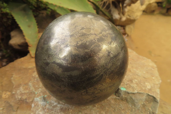 Polished Pharaoh Stone Sphere x 1 From Zimbabwe