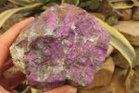 Natural Metallic Purpurite Specimens x 2 From Erongo, Namibia