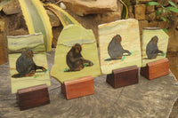 Hand Made Chimpanzee Decoupage on Butter Jade Stone Slabs - sold per item - From South Africa