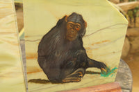 Hand Made Chimpanzee Decoupage on Butter Jade Stone Slabs - sold per item - From South Africa