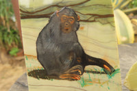 Hand Made Chimpanzee Decoupage on Butter Jade Stone Slabs - sold per item - From South Africa