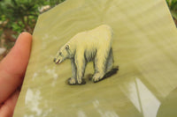 Hand Made Polar Bear Decoupage on Butter Jade Stone Slabs - sold per item - From South Africa