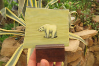 Hand Made Polar Bear Decoupage on Butter Jade Stone Slabs - sold per item - From South Africa