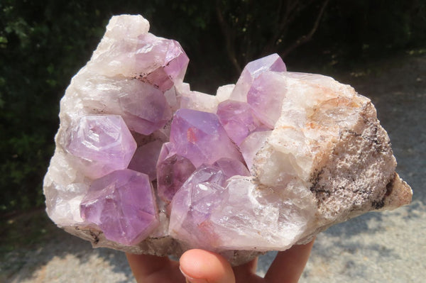 Natural Jacaranda Amethyst Quartz Cluster x 1 from Mumbwa, Zambia