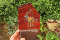 Hand Made African Kudu Buck Decoupage on Tiger Iron Jasper Stone Slabs - Sold Per Item - From Australia