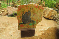 Hand Made Chimpanzee Decoupage on Unakite Stone Slabs - sold per item - From Southern Africa