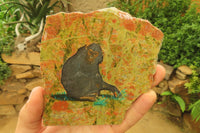 Hand Made Chimpanzee Decoupage on Unakite Stone Slabs - sold per item - From Southern Africa