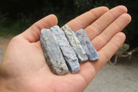 Natural Kyanite Crystal Specimens x 47 From Zimbabwe